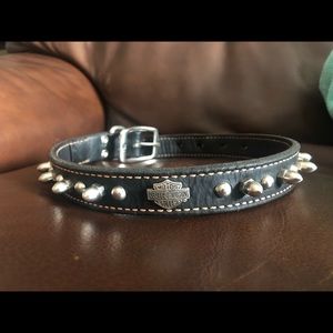 Harley Davidson dog collar